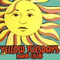 Yellow Tuesday’s, Phase II